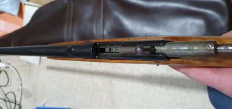 A ver Srs., porfa,  ¿alguien me podría decir que calibre es un anima de 8,2 mm de diámetro? Debe de ser 31