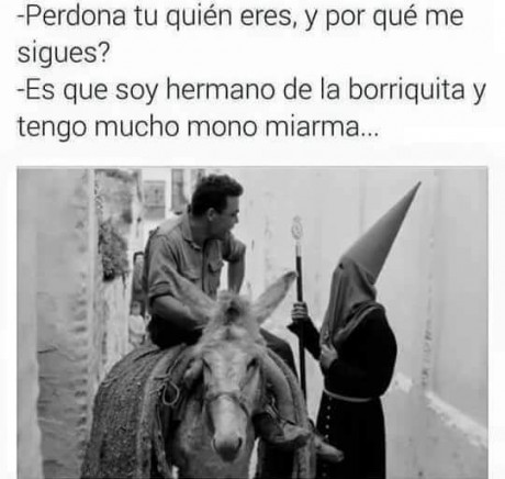 ¡Muy buenas a todos!

Estaba dando un paseo por el foro, cuando me he dado cuenta de que no había un hilo 61