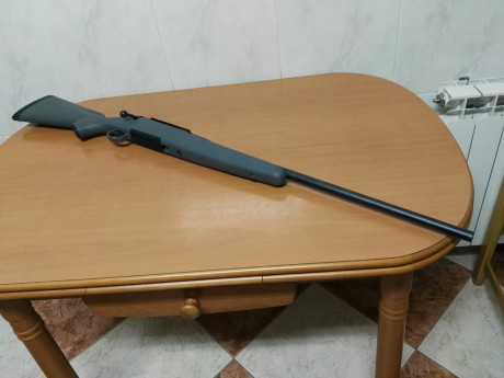 Vendo  rifle  Remington modelo 710 a tirado dos cajas de balas.
     Lo vendo en 300 euros, gastos de 00
