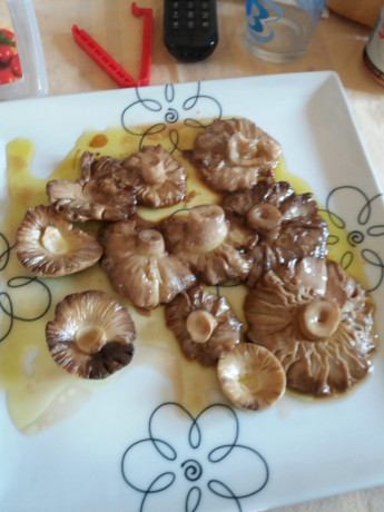 Hoy para comer acelgas hervidas y chuletón de vaca gallega vieja con seis semanas de maduración en cámara 140