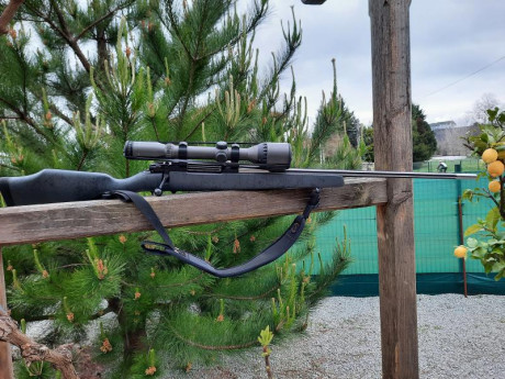 Buenas vendo el siguiente equipo
Rifle....Weatherby  Mark 5 ultralijero (2600 gr)
Encabado en aluminio
Calibre.... 02