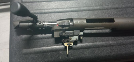 Hola

Se vende rifle ,sin la culata, STEYR MANLINCHER calibre 308 . cañón de 50 cm

550 eur, más envio
 00