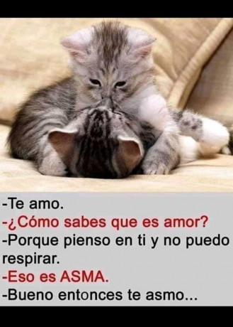 ¡Muy buenas a todos!

Estaba dando un paseo por el foro, cuando me he dado cuenta de que no había un hilo 50