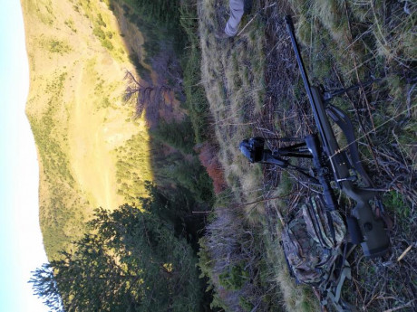 ATARC 4-16X50 F1:

- 1° plano focal
- Tubo 34 mm. 
- Ret. MiL XT
- Tapas flip-up originales
- Montura 01