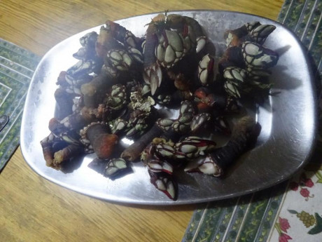 Hoy para comer acelgas hervidas y chuletón de vaca gallega vieja con seis semanas de maduración en cámara 111