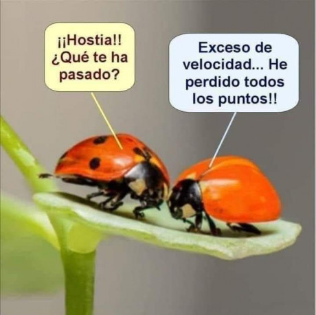 ¡Muy buenas a todos!

Estaba dando un paseo por el foro, cuando me he dado cuenta de que no había un hilo 120