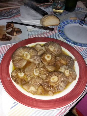 Hoy para comer acelgas hervidas y chuletón de vaca gallega vieja con seis semanas de maduración en cámara 40