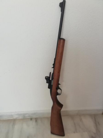 Vendo carabina del . 22 LR. CBC Magtech 7022 
usada solo dos tardes en galería. 
semiautomática con cargador 02