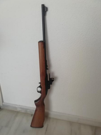 Vendo carabina del . 22 LR. CBC Magtech 7022 
usada solo dos tardes en galería. 
semiautomática con cargador 01