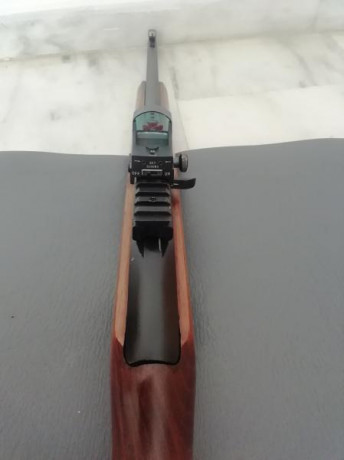 Vendo carabina del . 22 LR. CBC Magtech 7022 
usada solo dos tardes en galería. 
semiautomática con cargador 00
