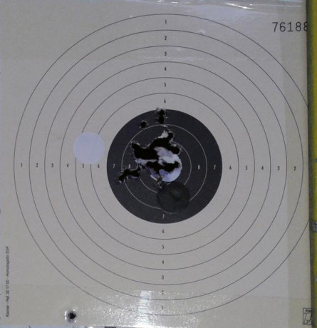 Hola a todos, estoy pensando en comprar un rifle pcp y he pensado en el weihrauch hw 100 S. En 5,5.... 40