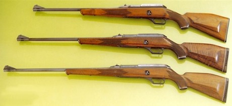 Pues eso amigos pensais que algún dia venderán un saut en el 8x68? si ya existen en el 325 wsm o el 338 92