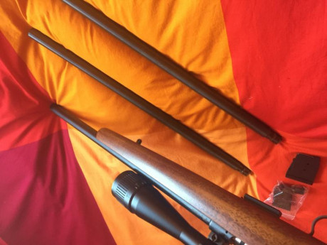 Pongo a la venta mi CZ 455 varmint con 3 calibres (22 lr, 17 hmr y 22 mag.) con disparador afinado
Nunca 02