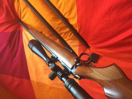 Pongo a la venta mi CZ 455 varmint con 3 calibres (22 lr, 17 hmr y 22 mag.) con disparador afinado
Nunca 01