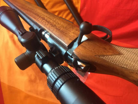 Pongo a la venta mi CZ 455 varmint con 3 calibres (22 lr, 17 hmr y 22 mag.) con disparador afinado
Nunca 00