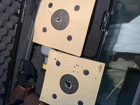 Felices pascuas a todos y muy buenas tardes: Me gustaría comprar una pistola para aire 10 m; pero no quiero 110