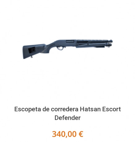 Vendo escopeta corredera HATSAN Defender.  
En perfecto estado y nueva nueva.... sólo la he probado, 5 00