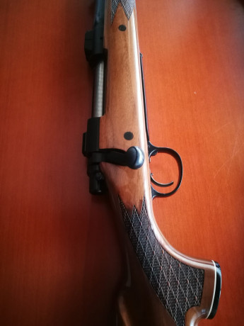 Hola a todos ,a ver si esta vez lo hago mejor,sigo vendiendo un remington 700 custom de luxe ,calibre 02