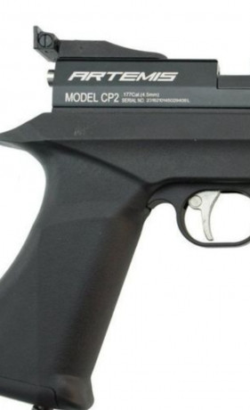 STINGER ARES CO2 PISTOL/CARBINE .22

                                                     “Fiel compañera 61