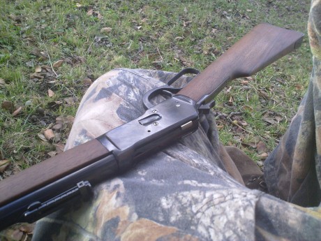 Hola muy buena compañeros, estaba pensando en cambiar los puntos de mira de mi rifle tigre por unos de 00
