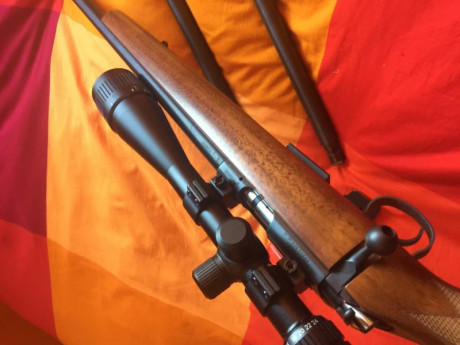 Estado como nueva, pues nunca se ha disparado
Dispone de los 3 cañones, a saber: 22 lr, 22 mag y 17 hmr, 02