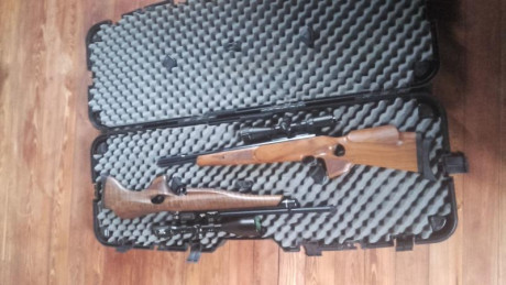 Maletin para dos carabinas con visor.
No se tocan entre si ppr los "pilares" del centro.
Tambien 01