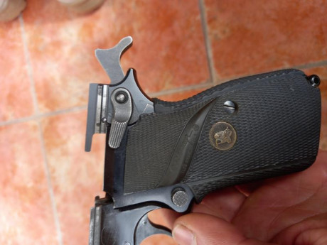 Vendo esta Browning HP 35 del año 91, calibre 9 mm Pb, siempre la he tenido yo, se encuentra en perfectas 31