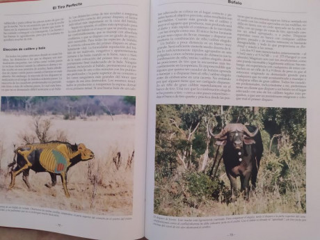 Vendo el libro El tiro perfecto, es de tapa dura del Veterinario y cazador profesional Sudafricano Kevin 10