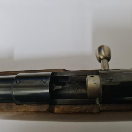 Se vende rifle ardesa, calibre 50, en perfecto  estado, sin uso, la tenía guiada con el art. 107 y por 02