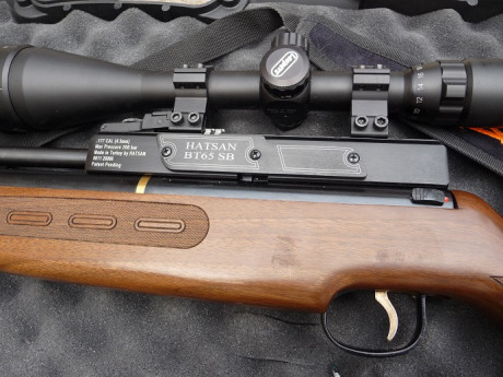 Carabina pcp Hatsan BT65 en perfecto estado (550€), como nueva, con moderador (50€), estabilizador de 02
