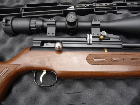 Vendo carabina pcp Hatsan BT65 SW cal.4.5 en perfecto estado (550€), como nueva, con moderador (50€), 00