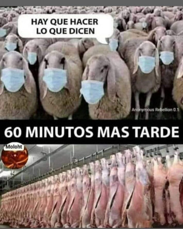 ¡Muy buenas a todos!

Estaba dando un paseo por el foro, cuando me he dado cuenta de que no había un hilo 110