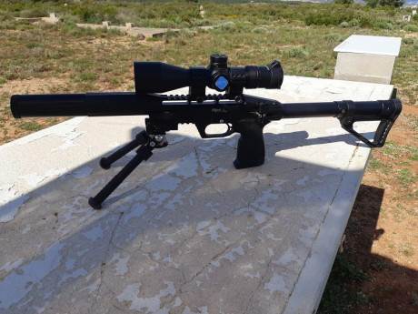 Hola compañeros pongo la edgun leshiy a la venta. Calibre 5,5, cañon de 350 mm, juntas de repuesto, 2 02