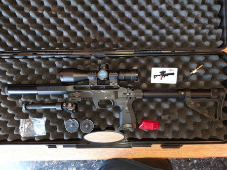 Hola compañeros pongo la edgun leshiy a la venta. Calibre 5,5, cañon de 350 mm, juntas de repuesto, 2 01