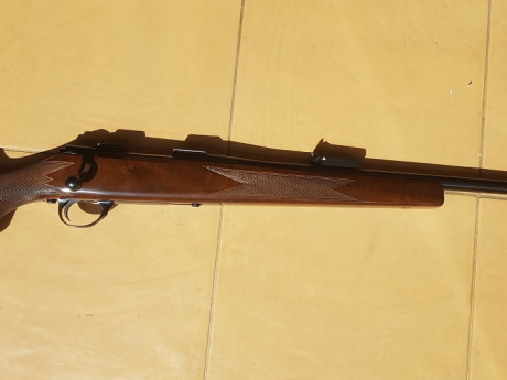 Vendo rifle Sako calibre 222R en perfecto estado por no utilizarlo, lo vendo por 750€ transporte incluido 31