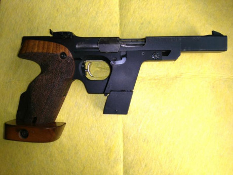 VENDIDAS

Vendo Walther GSP 32wc. Es un modelo antiguo, con las marcas propias de su edad, pero sigue 00