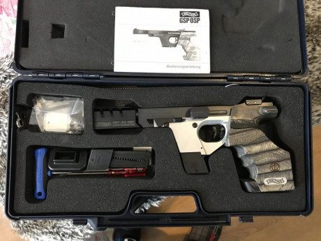 Vendo Walther GSP Expert 32 en muy buen estado, se puede probar en Asturias, 950 euros portes aparte.

REBAJA 01