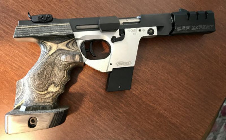 Vendo Walther GSP Expert 32 en muy buen estado, se puede probar en Asturias, 950 euros portes aparte.

REBAJA 00
