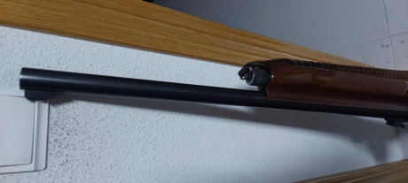 Un amigo vende su escopeta Benelli modelo sl121 con cañon estriado para balas con alza y punto, y visor 11
