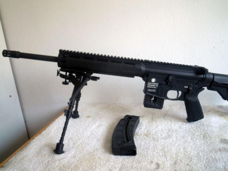 Vendo carabina semiautomática Smith&Wesson MP15-22, calibre 22 LR, ultimo modelo con guardamanos M-Lok, 02