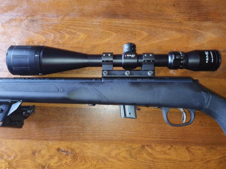 Buenas tardes,
Vendo carabina Marlin XT 22 VR más visor shiba 8 a 24x52 y bipode tipo Harris, usado para 00