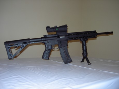 Compañeros ya me ha llegado mi carabina S&W MP15-22 y solo puedo decir una cosa ¡¡ GENIAL¡¡ , despues 71