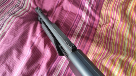 Buenas tardes,

 Escopeta Stinger Tactical  calibre 12/76, cañón corto de 38cm, capacidad 5+1 cartuchos, 32