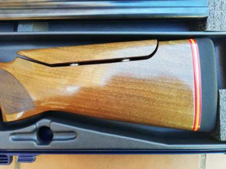 Saludos al foro

 Vendo Escopeta de tiro al plato Beretta 686 E Trap de 76cm de cañon 1 y 2 estrellas 00