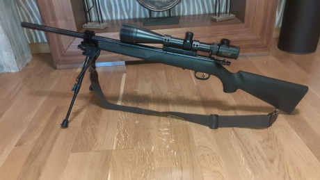 Hola a todos!!

Vendo mi Marlin del 17HMR por falta de tiempo para usarlo. Habré tirado unos 100 disparos 00