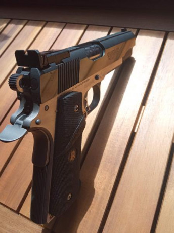 Pongo a la venta mi: 

COLT COMBAT ELITE 38 SUPERAUTO 5 PULGADAS Y CAÑON ADICIONAL 9 mm luger

Tiene un 10