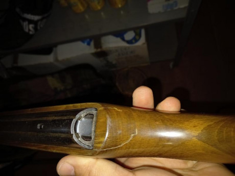 Es de un amigo. Un poco maltratada pero tira y agrupa bien. Deposito un poco rallado (no sabe con qué 00