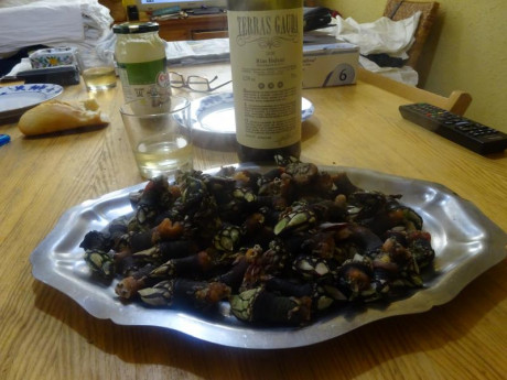 Hoy para comer acelgas hervidas y chuletón de vaca gallega vieja con seis semanas de maduración en cámara 21