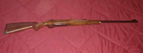 ...se llama ahorrar para un rifle de largo alcance, de muy largo alcance. Si ya sé que tuve un Vanguard 52