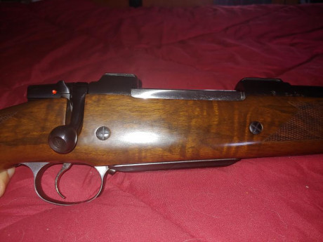 ...se llama ahorrar para un rifle de largo alcance, de muy largo alcance. Si ya sé que tuve un Vanguard 51